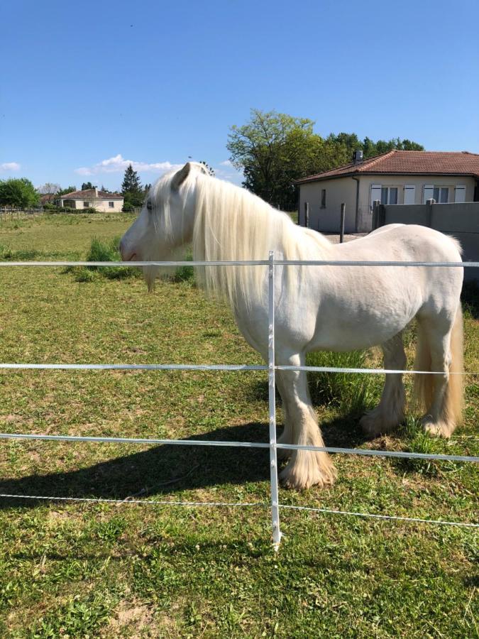 Le Cottage De Romas Villeneuve-sur-Lot Εξωτερικό φωτογραφία